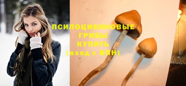 jwh Снежногорск