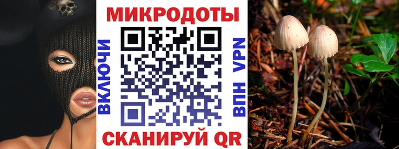 купить наркотик  дарк нет официальный сайт  Галлюциногенные грибы GOLDEN TEACHER  Волгоград 